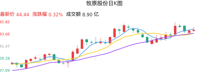 整体分析-日K图：牧原股份股票整体分析报告