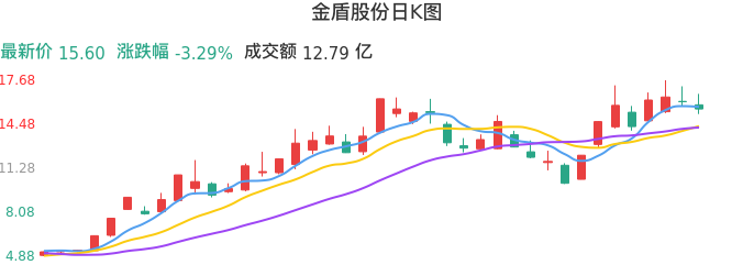 整体分析-日K图：金盾股份股票整体分析报告