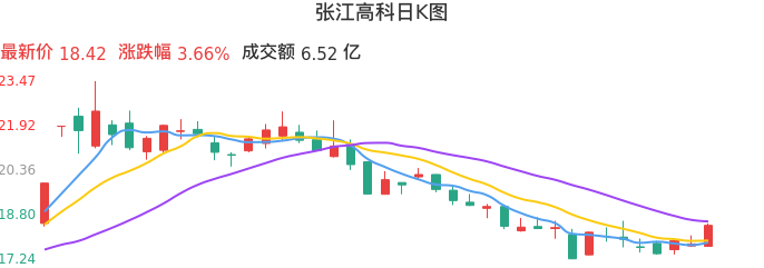 整体分析-日K图：张江高科股票整体分析报告