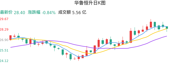整体分析-日K图：华鲁恒升股票整体分析报告