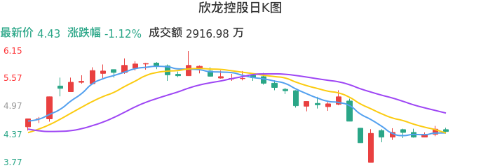 整体分析-日K图：欣龙控股股票整体分析报告