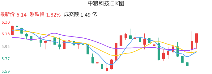整体分析-日K图：中粮科技股票整体分析报告