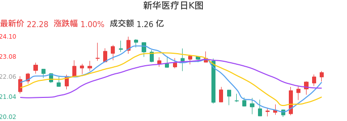整体分析-日K图：新华医疗股票整体分析报告