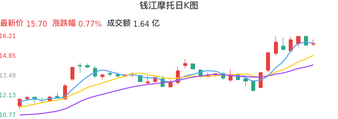 整体分析-日K图：钱江摩托股票整体分析报告