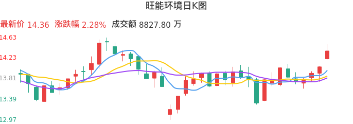 整体分析-日K图：旺能环境股票整体分析报告