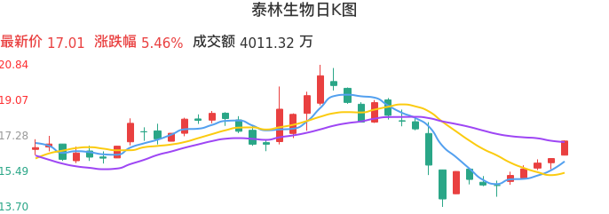 整体分析-日K图：泰林生物股票整体分析报告