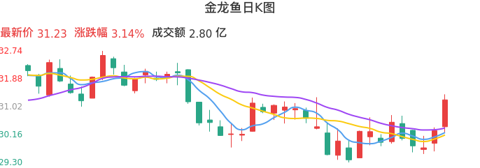 整体分析-日K图:金龙鱼股票整体分析报告