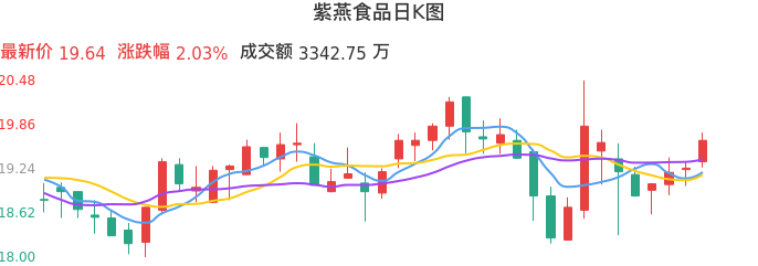 整体分析-日K图：紫燕食品股票整体分析报告