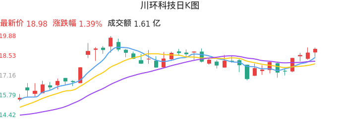 整体分析-日K图：川环科技股票整体分析报告