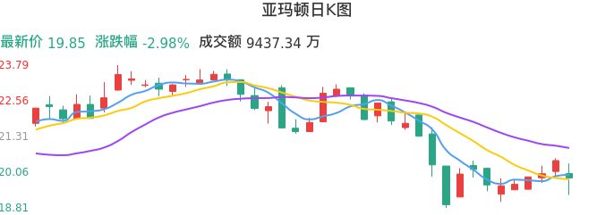 整体分析-日K图：亚玛顿股票整体分析报告