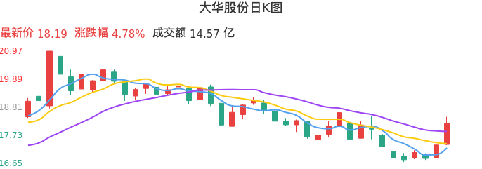 整体分析-日K图：大华股份股票整体分析报告