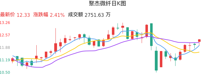 整体分析-日K图：聚杰微纤股票整体分析报告