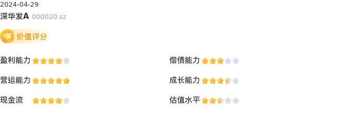 基本面-公司信息：深华发Ａ股票基本面分析报告