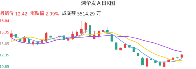 整体分析-日K图：深华发Ａ股票整体分析报告