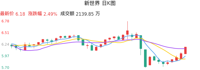 整体分析-日K图：新世界股票整体分析报告
