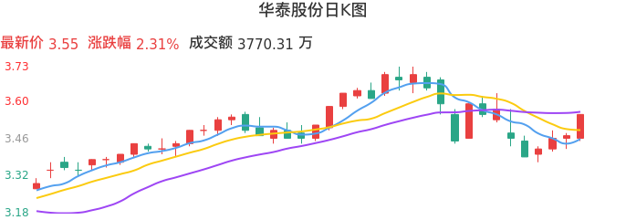 整体分析-日K图:华泰股份股票整体分析报告