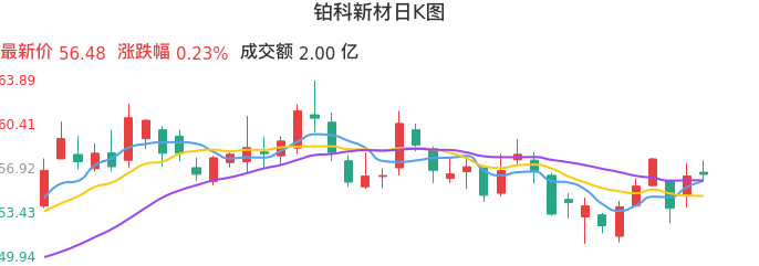 整体分析-日K图：铂科新材股票整体分析报告