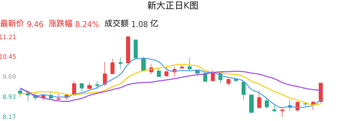 整体分析-日K图:新大正股票整体分析报告