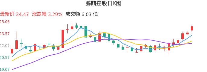 整体分析-日K图：鹏鼎控股股票整体分析报告