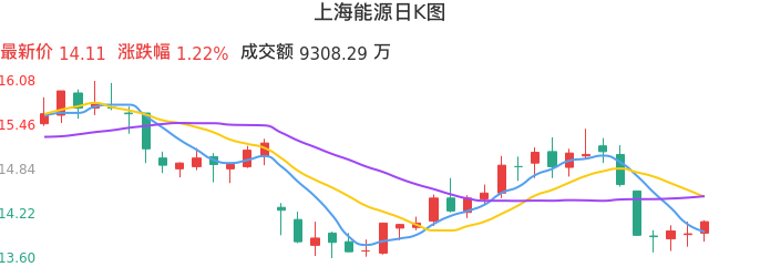 整体分析-日K图：上海能源股票整体分析报告
