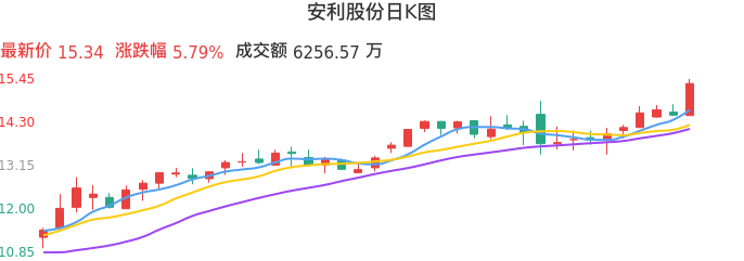 整体分析-日K图:安利股份股票整体分析报告