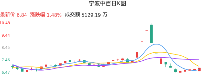 整体分析-日K图：宁波中百股票整体分析报告