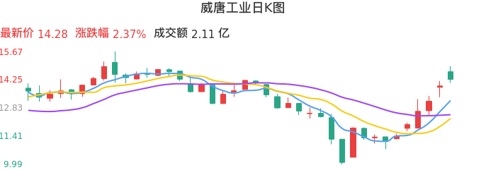 整体分析-日K图：威唐工业股票整体分析报告