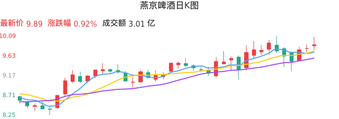 整体分析-日K图：燕京啤酒股票整体分析报告
