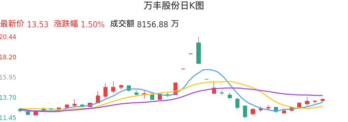 整体分析-日K图：万丰股份股票整体分析报告