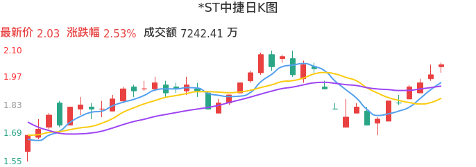 整体分析-日K图：*ST中捷股票整体分析报告