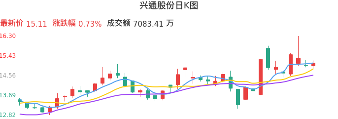 整体分析-日K图：兴通股份股票整体分析报告