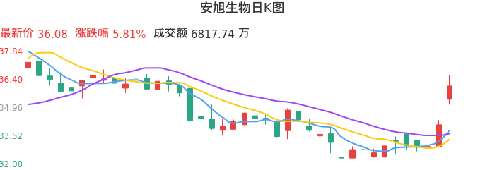 整体分析-日K图：安旭生物股票整体分析报告