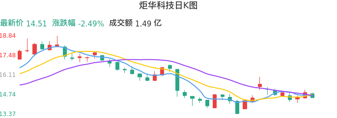 整体分析-日K图：炬华科技股票整体分析报告