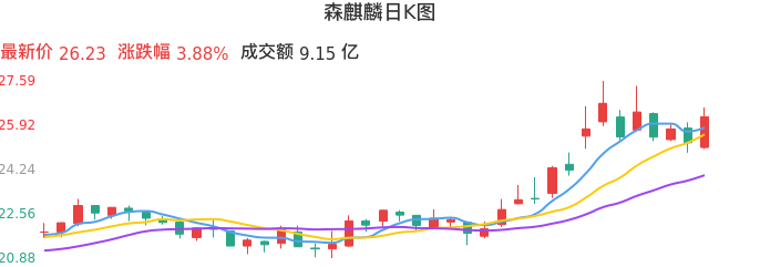 整体分析-日K图:森麒麟股票整体分析报告