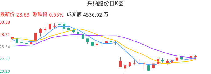 整体分析-日K图：采纳股份股票整体分析报告