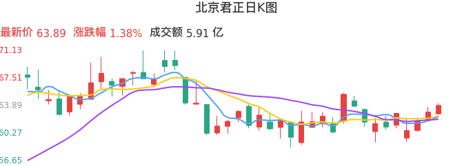 整体分析-日K图：北京君正股票整体分析报告