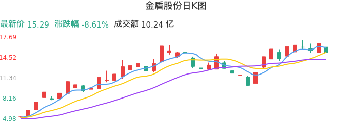 整体分析-日K图:金盾股份股票整体分析报告