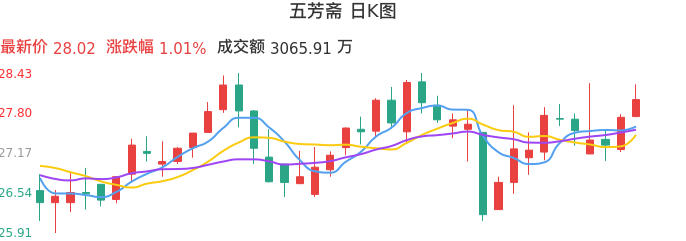 整体分析-日K图：五芳斋股票整体分析报告