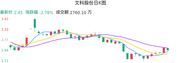 整体分析-日K图：文科股份股票整体分析报告