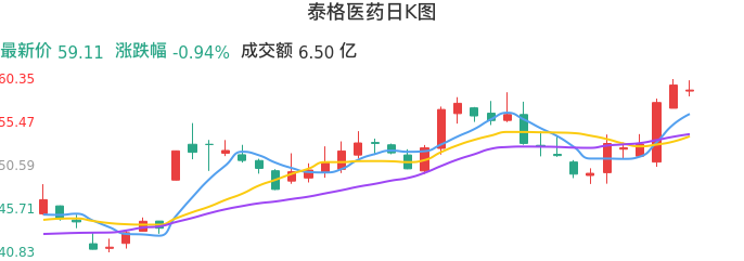 整体分析-日K图：泰格医药股票整体分析报告