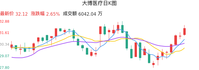 整体分析-日K图:大博医疗股票整体分析报告