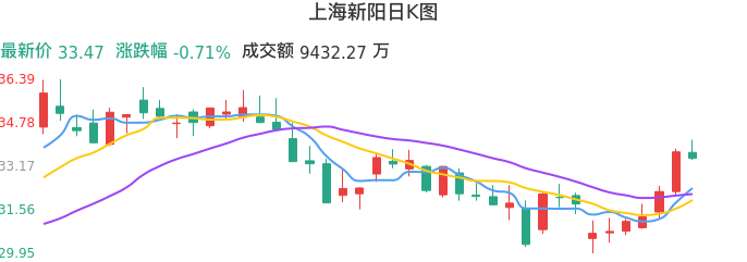 整体分析-日K图：上海新阳股票整体分析报告