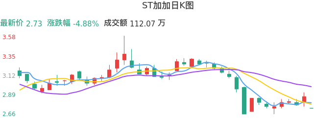 整体分析-日K图：ST加加股票整体分析报告
