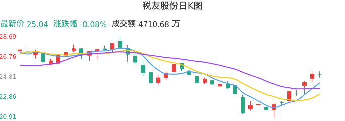 整体分析-日K图：税友股份股票整体分析报告