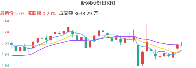 整体分析-日K图：新朋股份股票整体分析报告