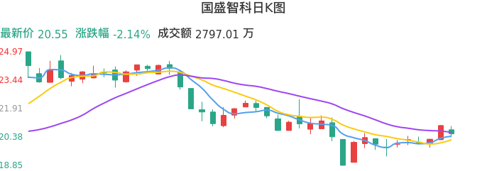 整体分析-日K图：国盛智科股票整体分析报告