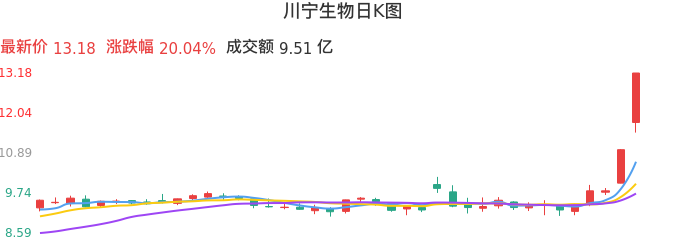 整体分析-日K图：川宁生物股票整体分析报告