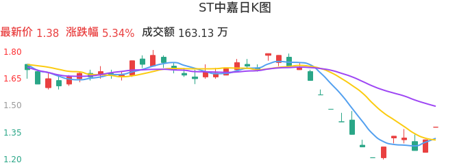 整体分析-日K图：ST中嘉股票整体分析报告