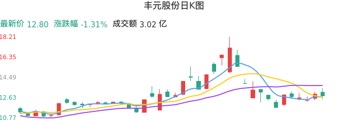 整体分析-日K图：丰元股份股票整体分析报告