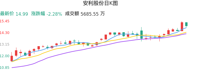 整体分析-日K图：安利股份股票整体分析报告